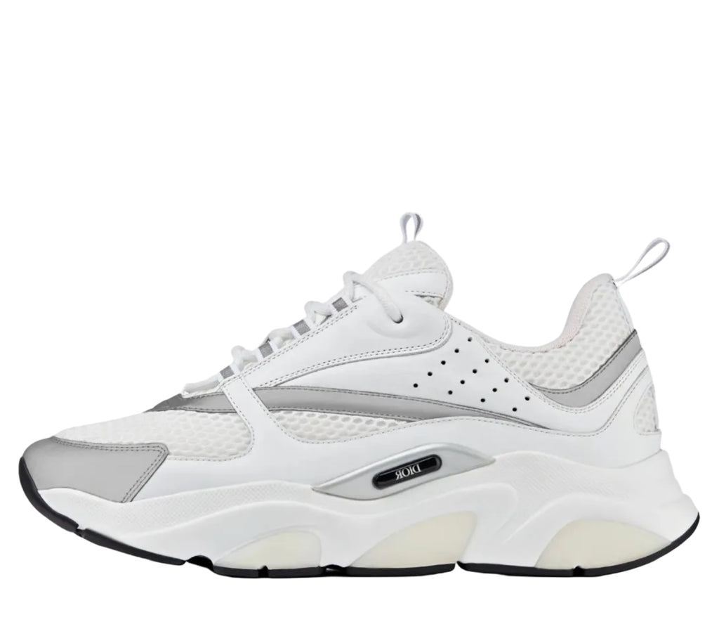 DIOR B22 'White Grey'