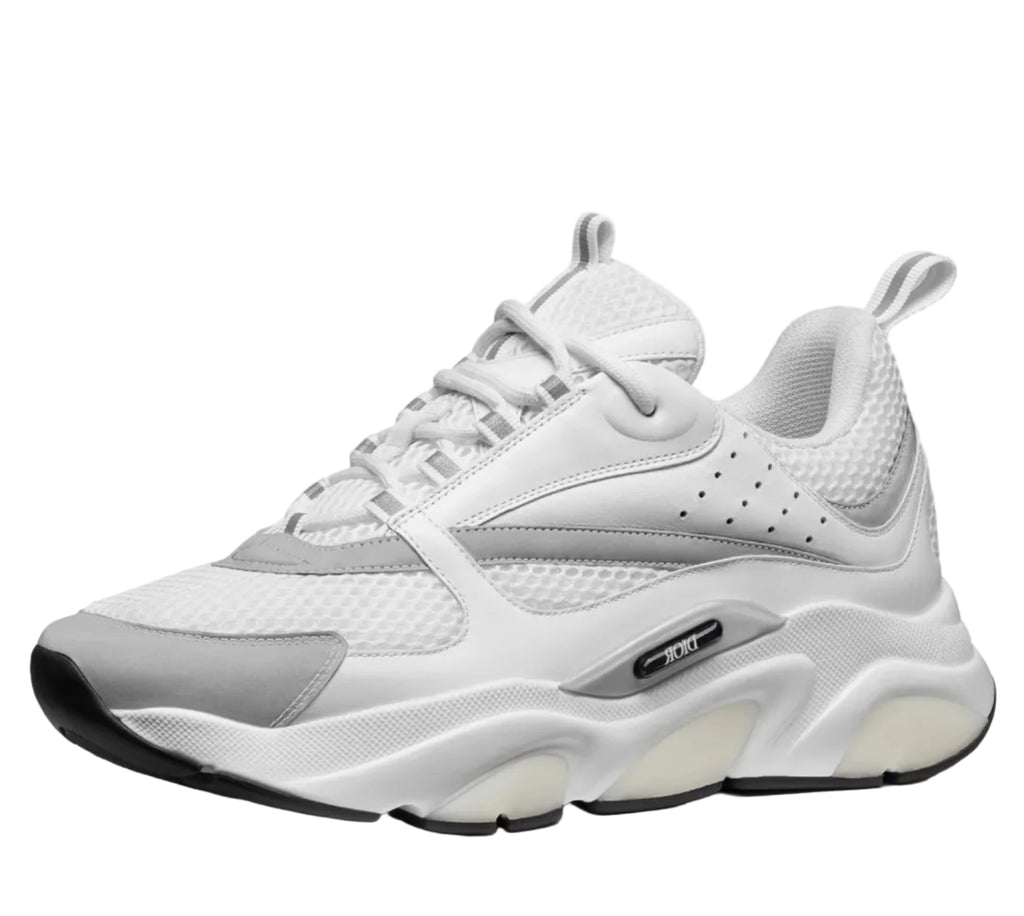 DIOR B22 'White Grey'