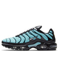 NIKE Air Max Plus 'Aqua Silver'