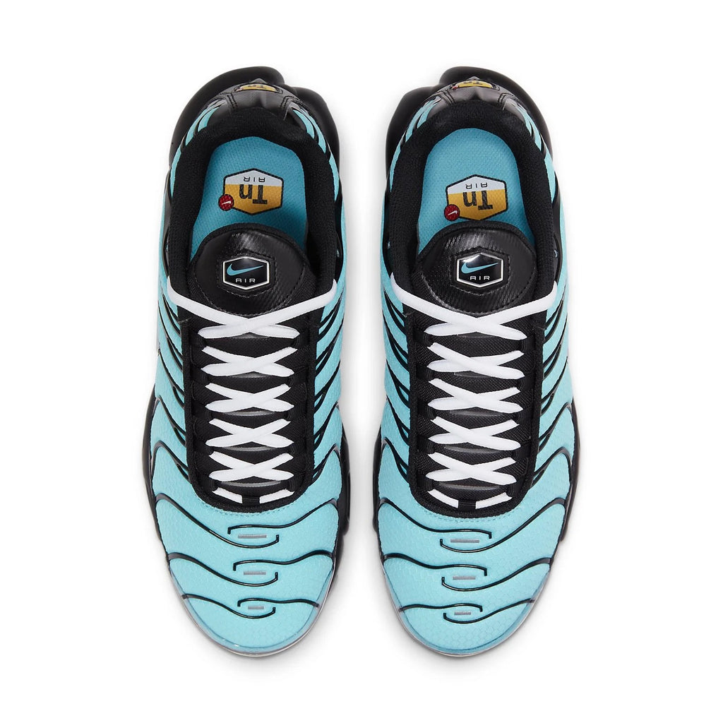 NIKE Air Max Plus 'Aqua Silver'