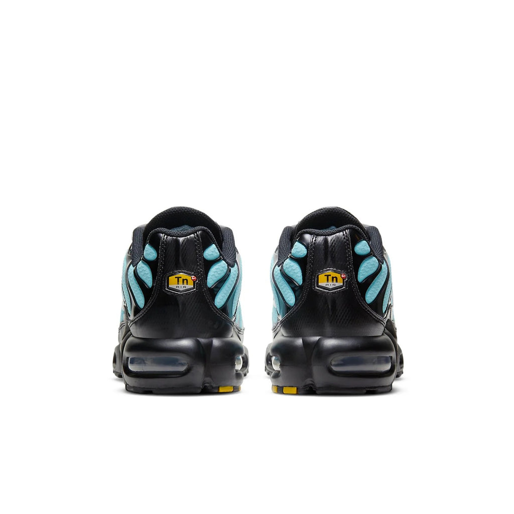 NIKE Air Max Plus 'Aqua Silver'